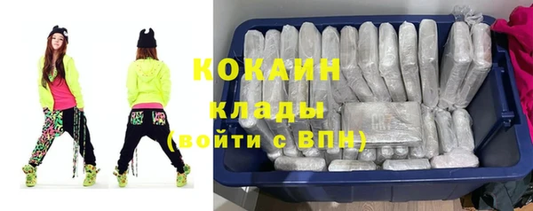 шишки Покров