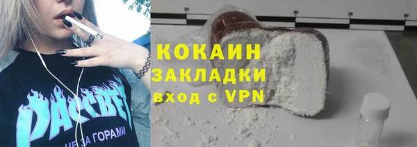 СК Алексин