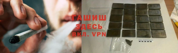 сатива Алзамай