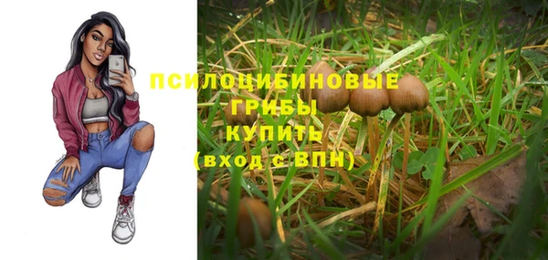 СК Алексин