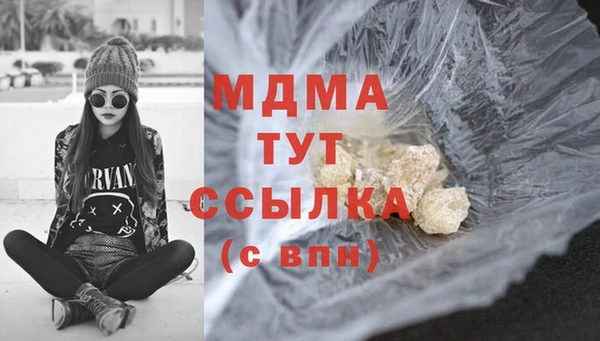 СК Алексин