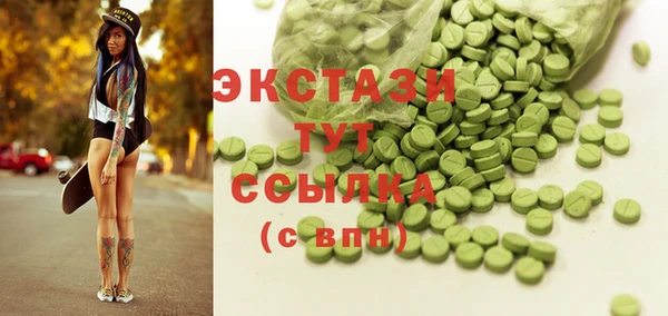 СК Алексин