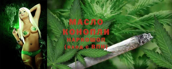сатива Алзамай