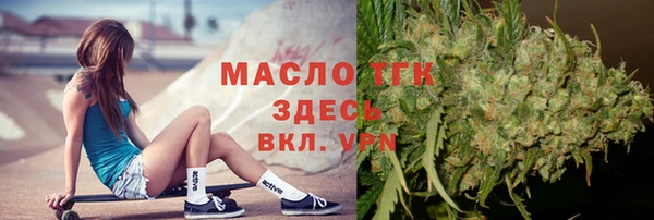 сатива Алзамай