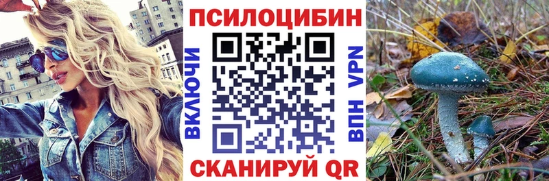 Псилоцибиновые грибы Psilocybe  Гурьевск 