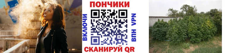 Бошки Шишки семена Гурьевск