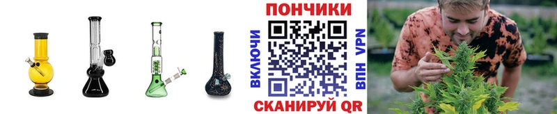 Бошки марихуана LSD WEED  где можно купить   hydra сайт  Гурьевск 
